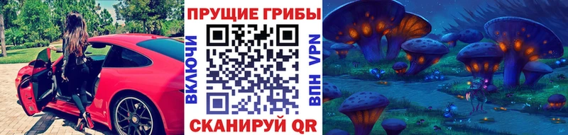 Галлюциногенные грибы мицелий  Лодейное Поле 